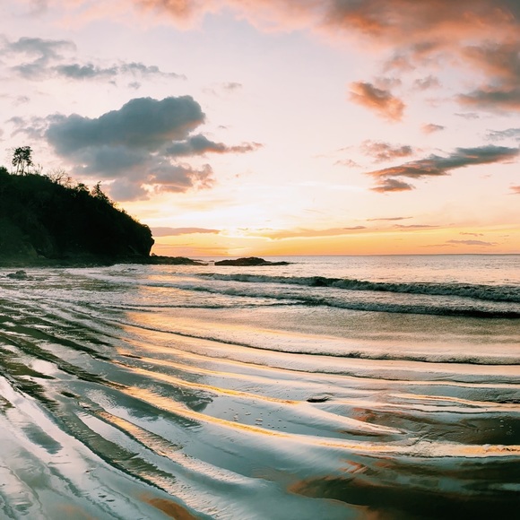 Meet your Posher, Casey - Picture 1 of 1